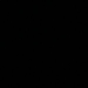 Meet your Posher, Charlie